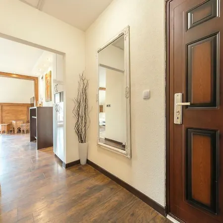 New And * Kragujevac